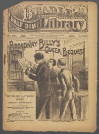 Large Thumbnail For Beadle's Half Dime Library 796 - Broadway Billy's Queer Bequest