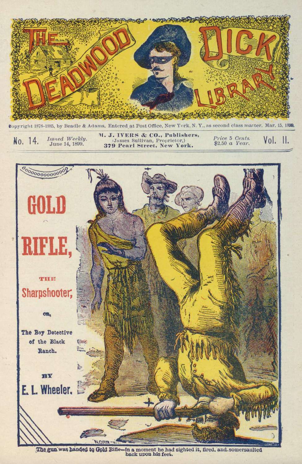 Book Cover For Deadwood Dick Library v2 14 - Gold Rifle, the Sharpshooter