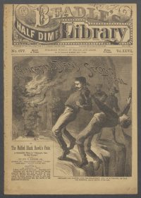 Large Thumbnail For Beadle's Half Dime Library 677 - Chincapin Dan's Second Trail