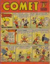 Cover For The Comet 195