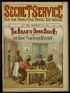 Cover For Secret Service 36 - The Bradys Down South