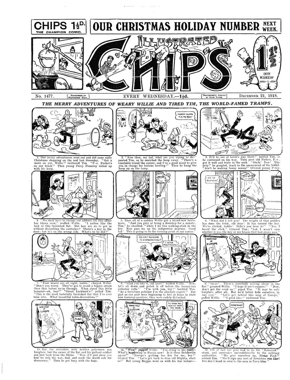 Book Cover For Illustrated Chips 1477