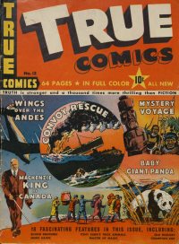 Large Thumbnail For True Comics 12