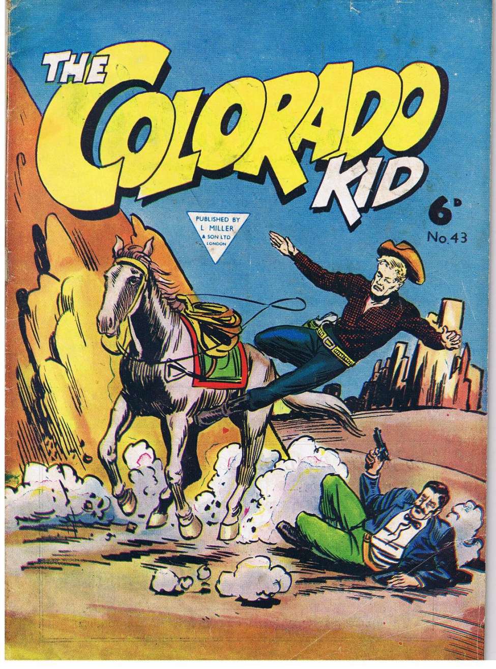 Book Cover For Colorado Kid 43