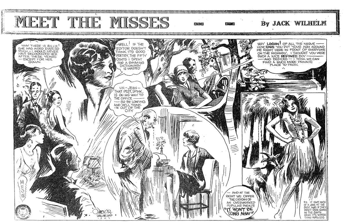 Comic Book Cover For Meet the Misses!