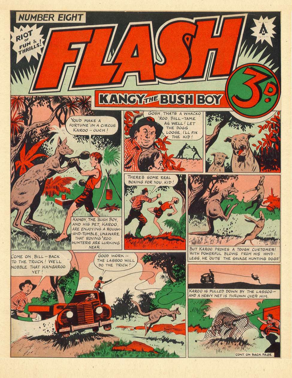 Book Cover For Flash 8