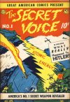 Cover For The Secret Voice 1