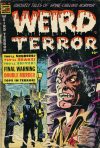 Cover For Weird Terror 13