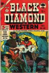 Cover For Black Diamond Western 49