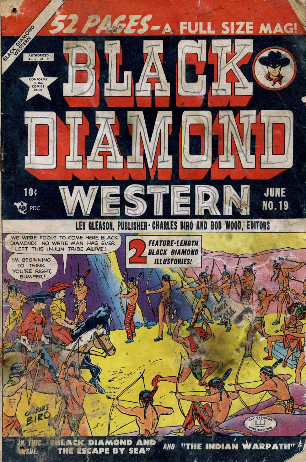 Book Cover For Black Diamond Western 19