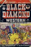 Cover For Black Diamond Western 19