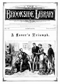 Large Thumbnail For The Brookside Library 37