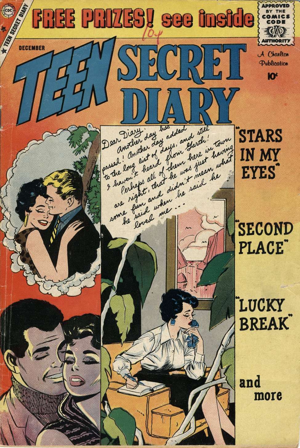 Book Cover For Teen Secret Diary 2
