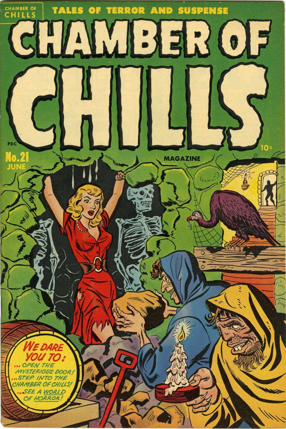 Book Cover For Chamber of Chills 1 (21)