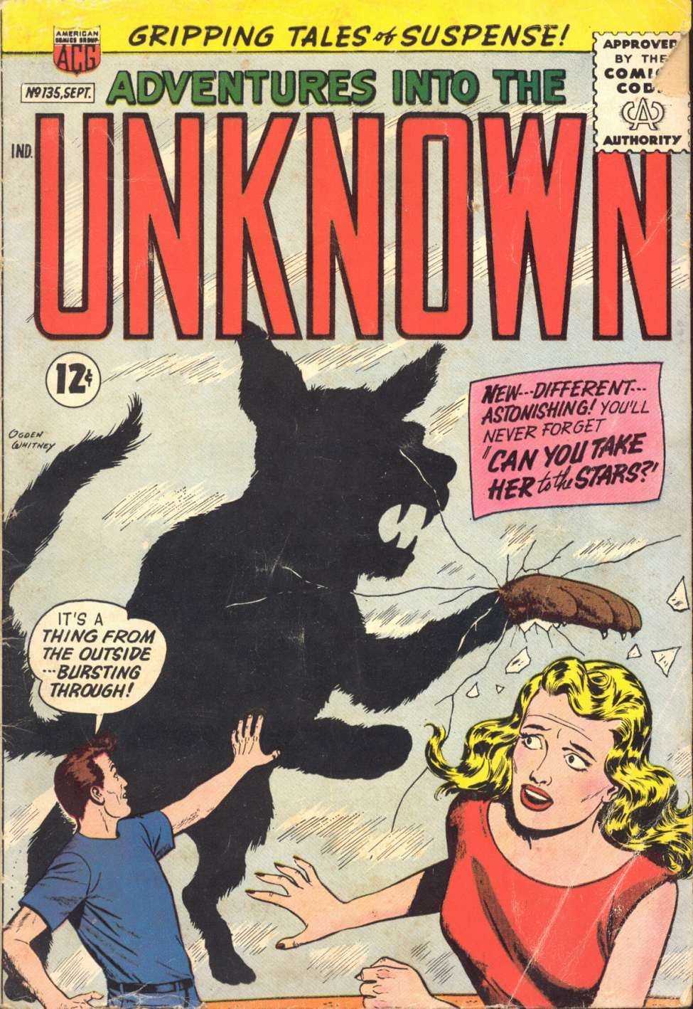 Comic Book Cover For Adventures into the Unknown 135