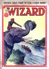 Cover For The Wizard 587