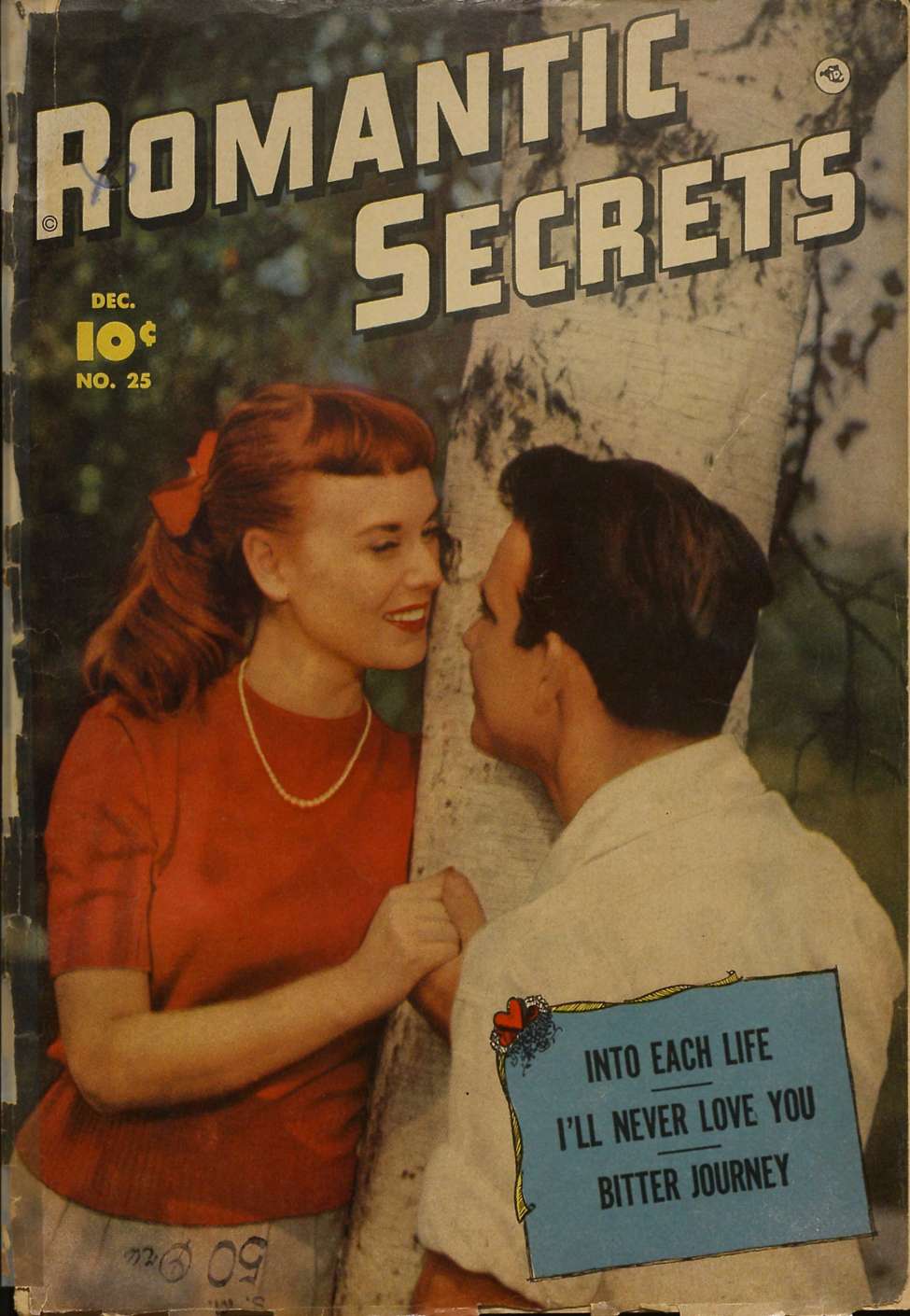 Book Cover For Romantic Secrets 25