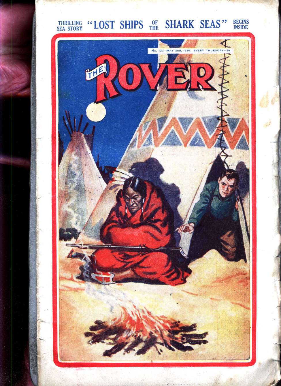 Book Cover For The Rover 733