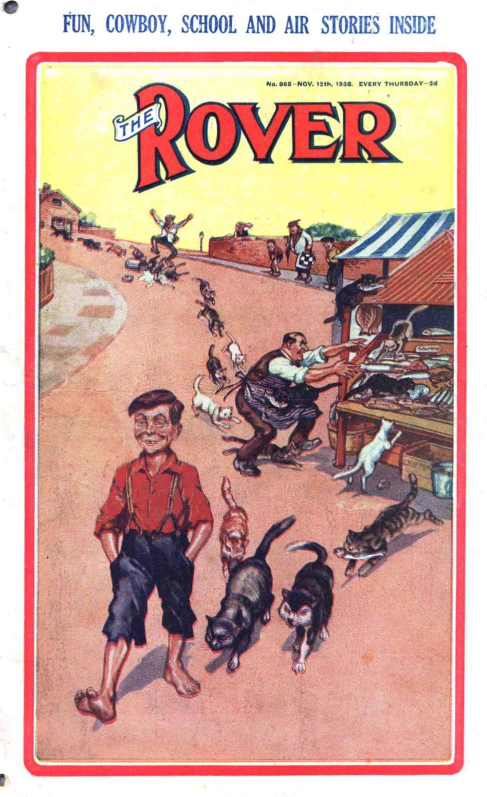 Book Cover For The Rover 865