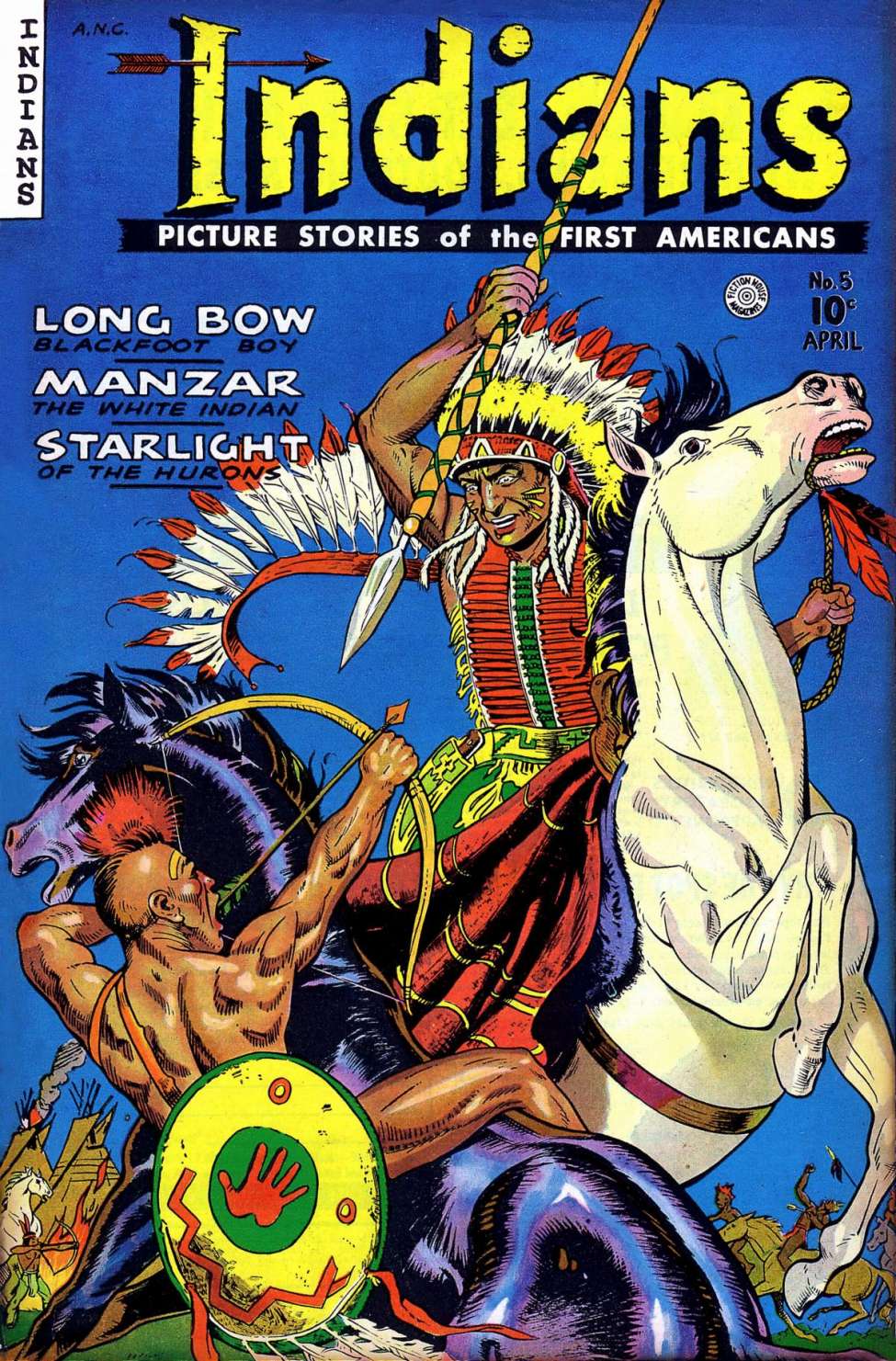 Book Cover For Indians 5