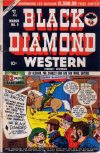 Cover For Black Diamond Western 9