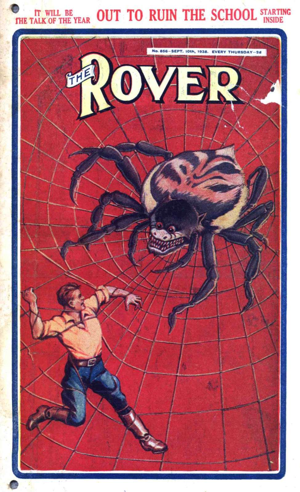 Book Cover For The Rover 856