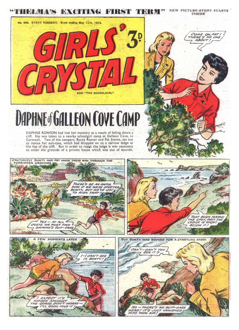 Book Cover For Girls' Crystal 969