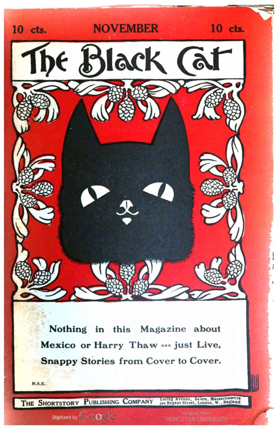 Book Cover For The Black Cat v19 2 - The Mystery of 40 Ranelagh Terrace - S. C. N. Fisher