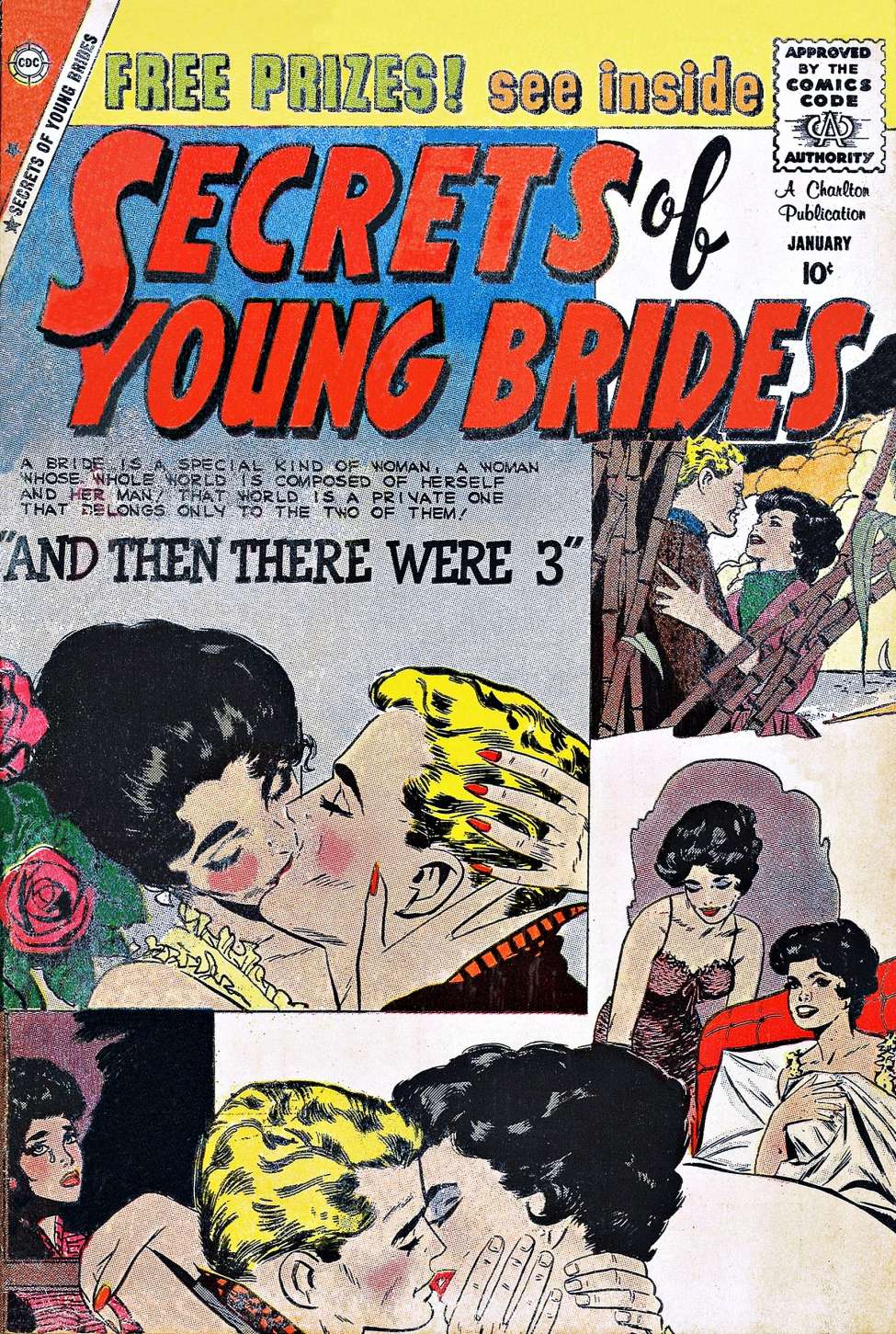 Book Cover For Secrets of Young Brides 17