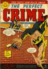 Cover For The Perfect Crime 6