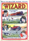 Cover For The Wizard 233