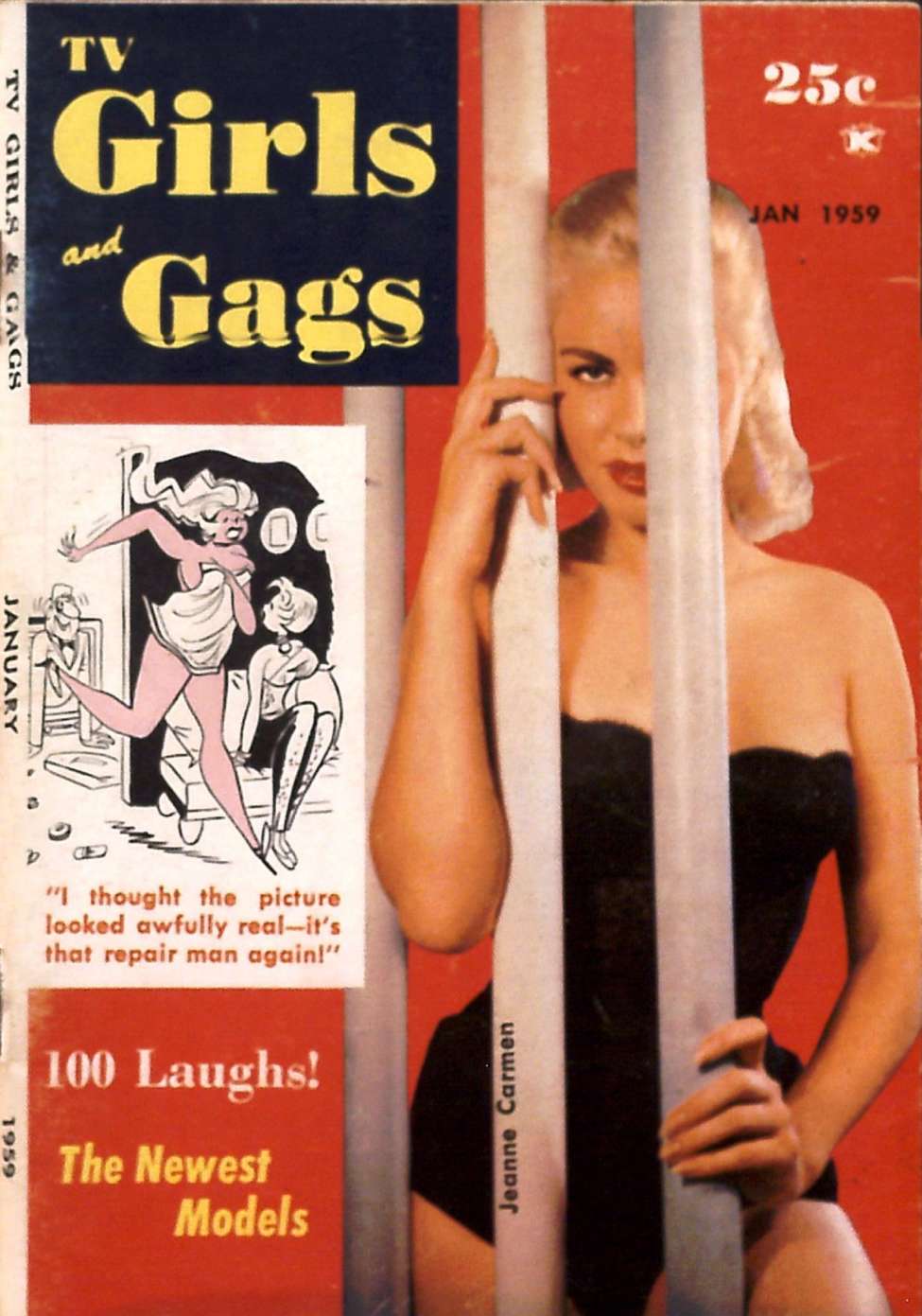Book Cover For TV Girls and Gags v6 1