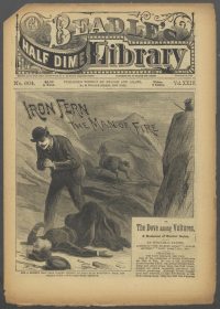 Large Thumbnail For Beadle's Half Dime Library 604 - Iron Fern, the Man of Fire