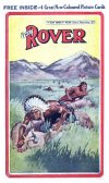 Cover For The Rover 359