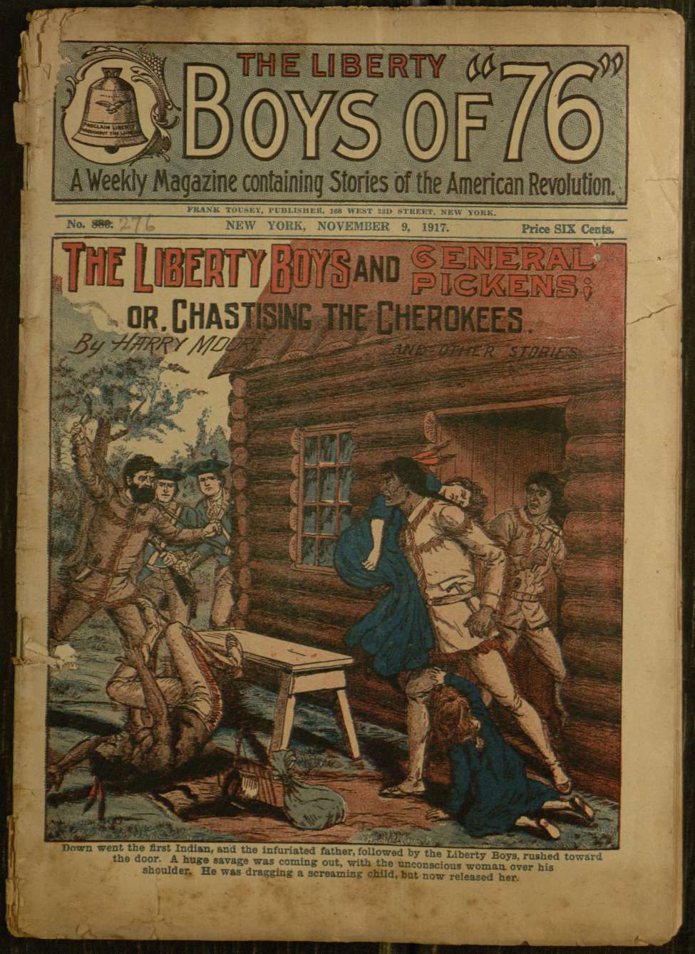 Book Cover For The Liberty Boys of 76 880 - The Liberty Boys and General Pickens