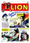 Cover For Lion 428