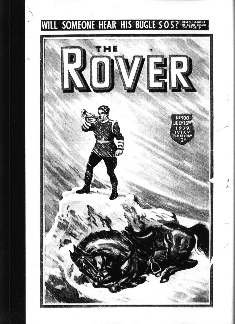 Book Cover For The Rover 900