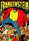 Cover For Frankenstein 2