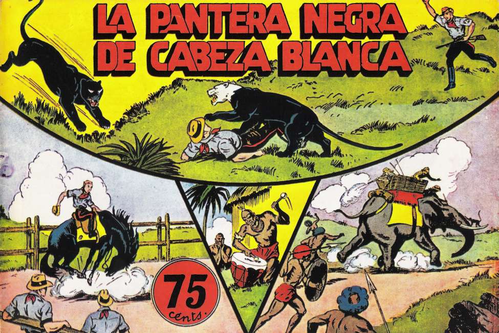 Book Cover For Jorge y Fernando 27 - La pantera negra de cabeza blanca