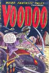 Cover For Voodoo 11