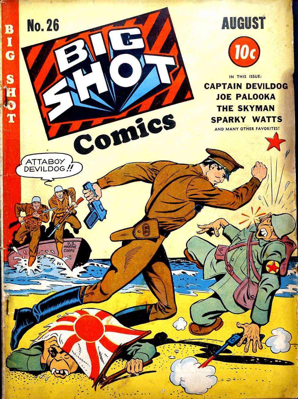 Book Cover For Big Shot 26