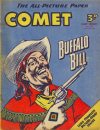 Cover For The Comet 310