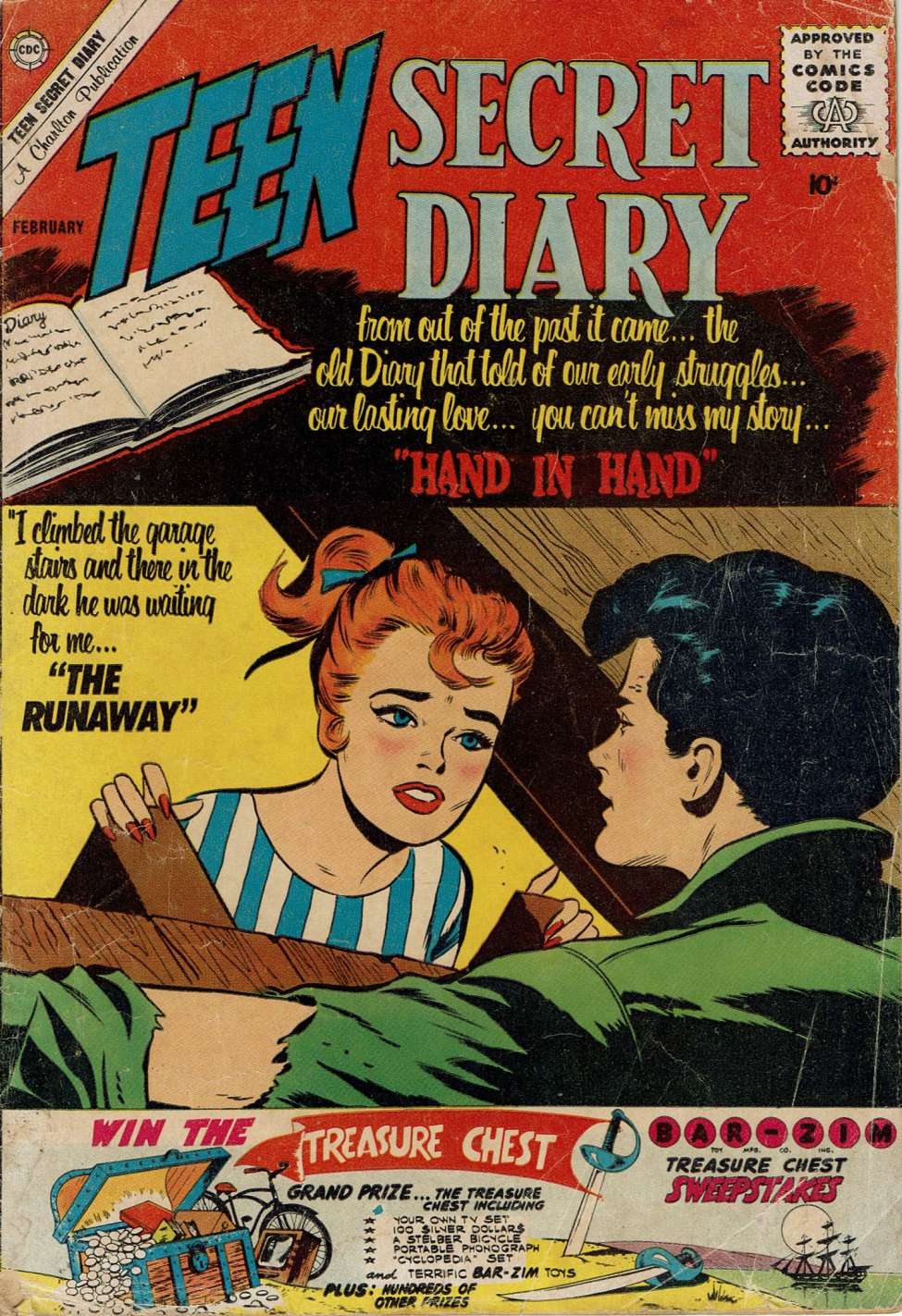 Book Cover For Teen Secret Diary 9