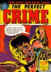 Cover For The Perfect Crime 30