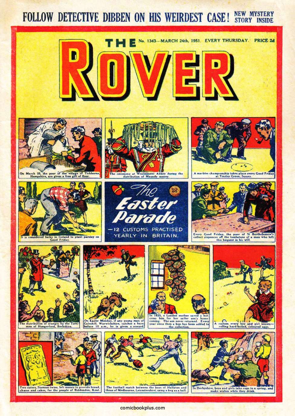Book Cover For The Rover 1343