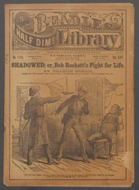 Large Thumbnail For Beadle's Half Dime Library 1114 - Shadowed