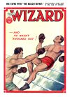 Cover For The Wizard 683