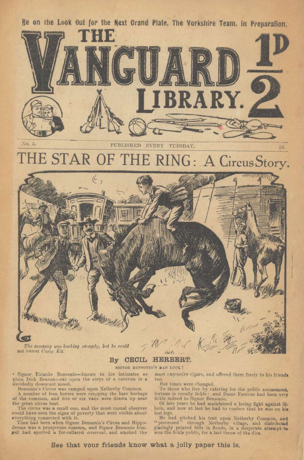 Book Cover For Vanguard Library 5 - The Star of the Ring