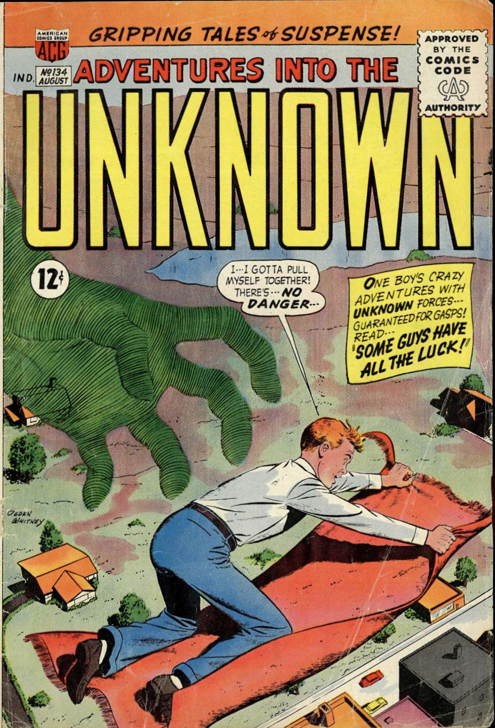 Book Cover For Adventures into the Unknown 134
