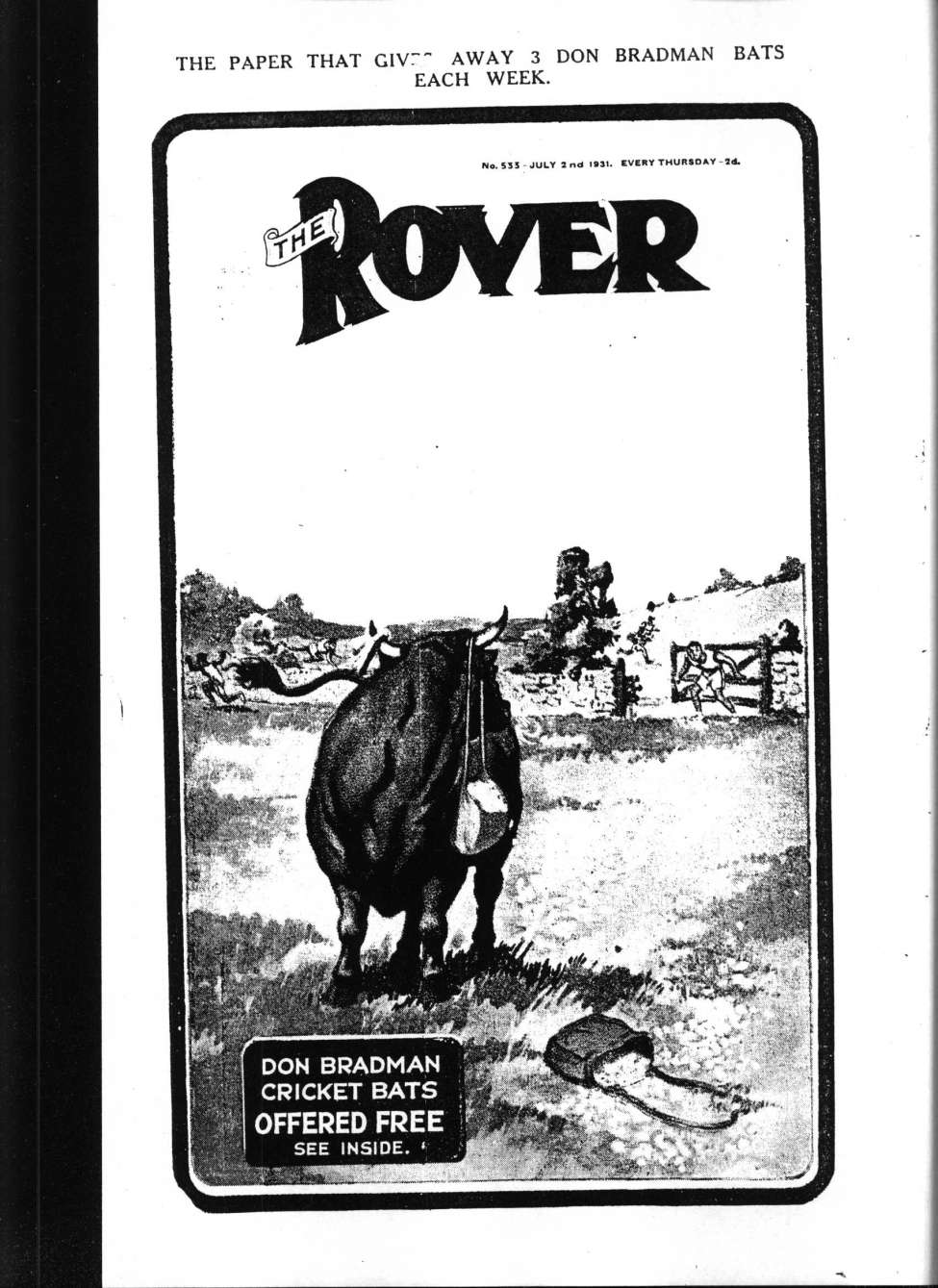 Book Cover For The Rover 533